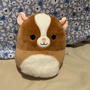 A squish mallow guinea pig